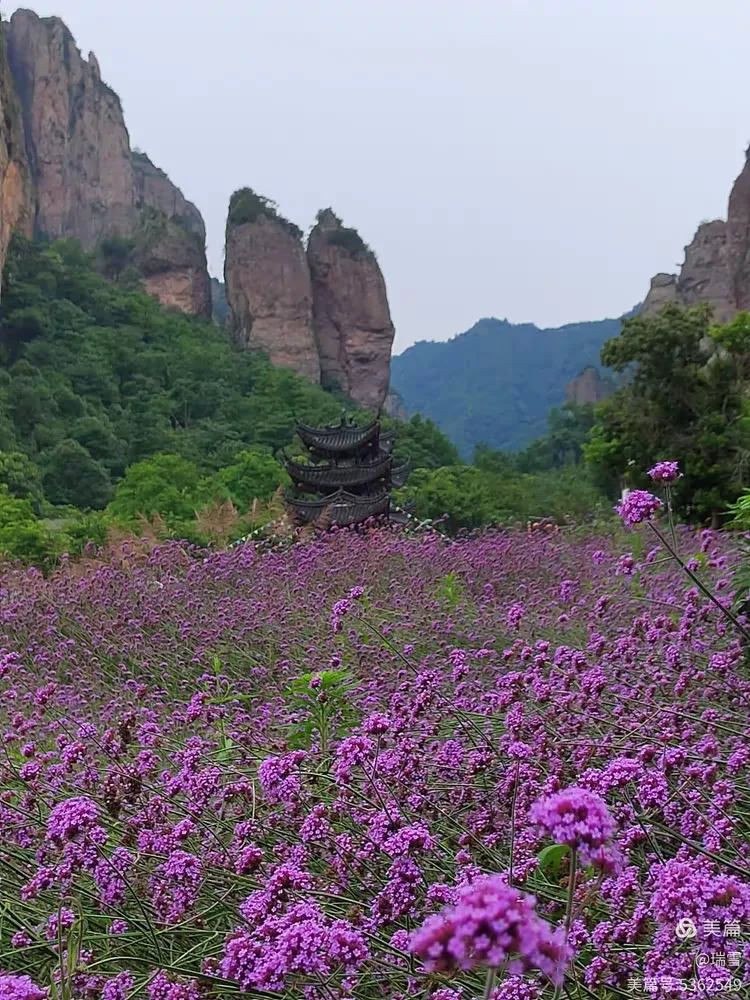 三山之一雁荡山
